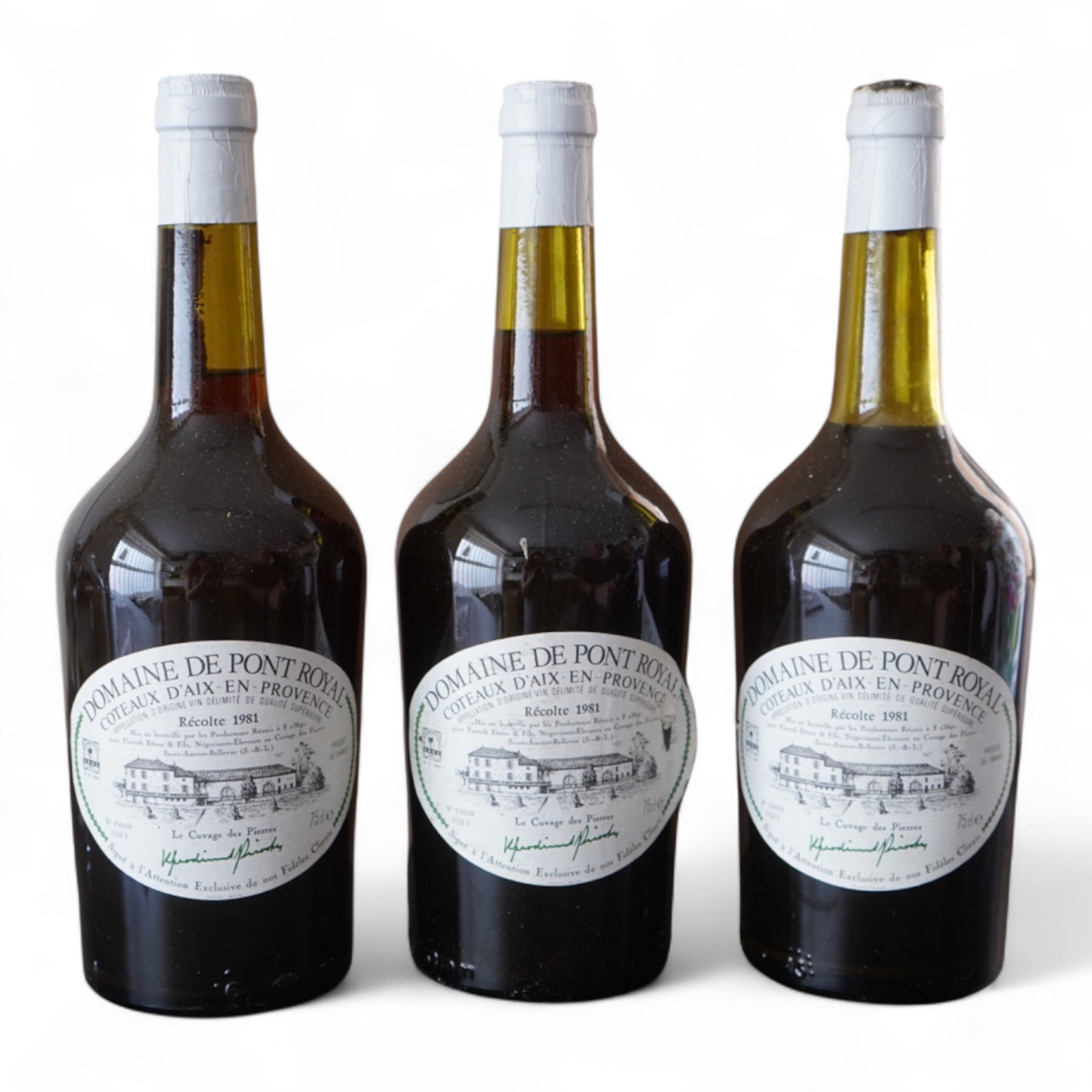 Fourteen bottles of 1981 Domaine de Pont Royal Recolte.